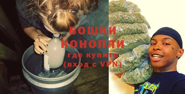 трава Армянск