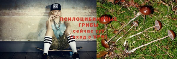 трава Армянск