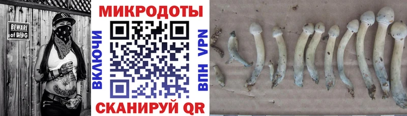 Галлюциногенные грибы Cubensis  kraken как зайти  Лысково 